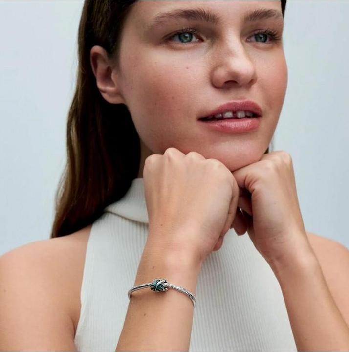 Immagine prodotto Pandora Momenti (Argento 925)