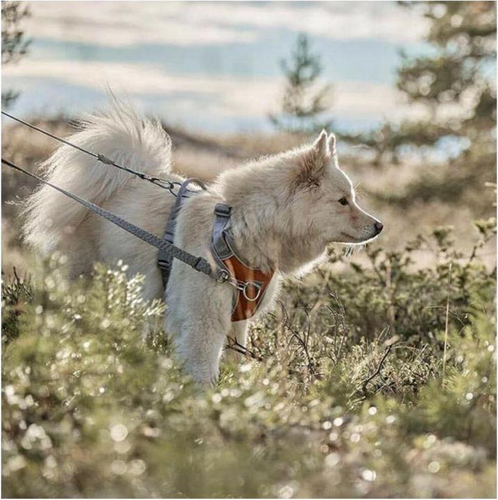 Image du produit Hurtta Harnais Venture No-Pull, 45-60, Gris (45, 46, 47, 48, 49, 50, 52, 54, 56, 58, 60, Chien, Général)