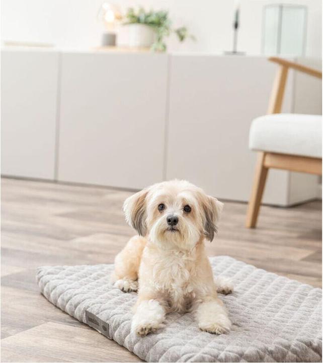 Produktbild Trixie Noah Vital mattress, square, 110 × 70 cm, light grey (Hund, Katze)