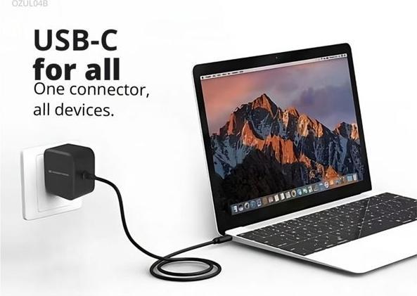 Image du produit Conceptronic Chargeur 1Port 67W, GaN USB-C Desk PD sw (67 W, 1 portion)