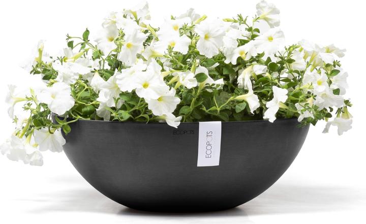 Actual product image Ecopots Vienna (50 cm)