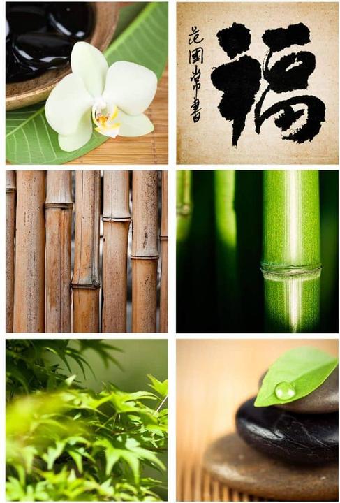 Trenddeko Piastrelle Decorazione Asia Spa