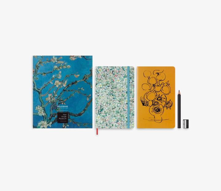 Actual product image Moleskine Collector's box turquoise (Lined)