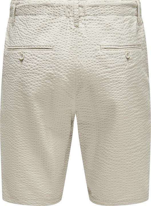 Actual product image Only & Sons Regular fit shorts Shorts (S)