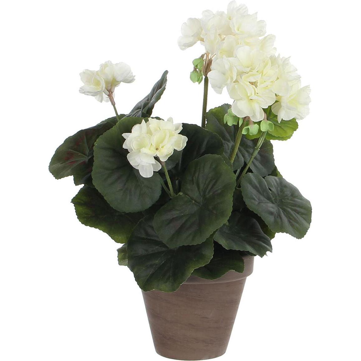 Mica Decorations Beige Pianta Artificiale, Pianta Decorativa Geranio In Pvc (34 Cm)