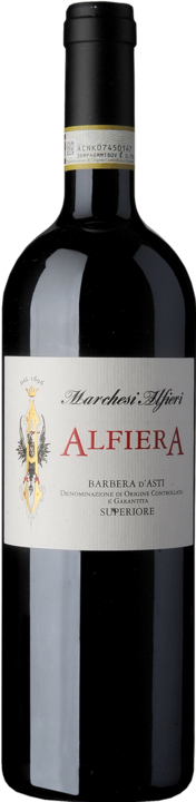 Actual product image Marchesi Alfieri Barbera d'Asti superiore Alfiera (1 x 150 cl, 2015)