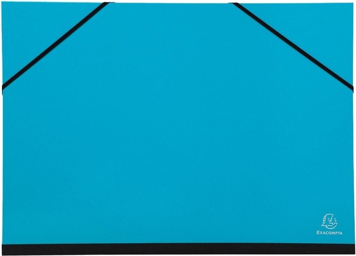 Actual product image Exacompta Portfolios (A4, 1 x)