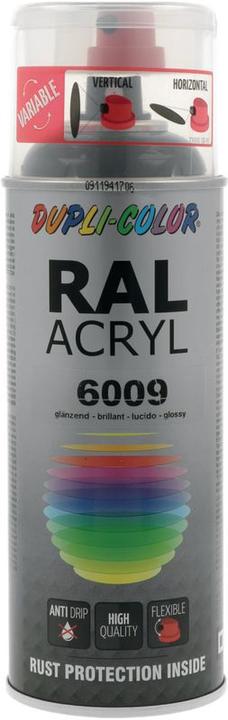 Immagine prodotto Dupli-Color Vernice acrilica lucida RAL 6009 verde abete (Rametti di abete, 0.40 l)