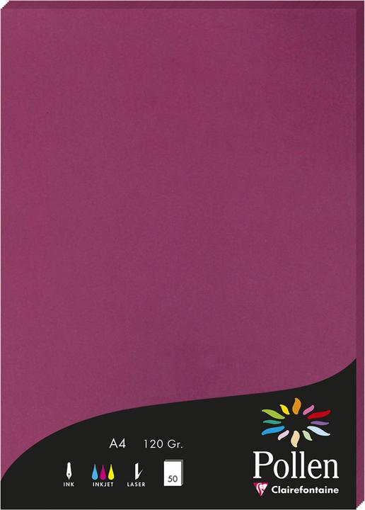 Produktbild Pollen Papier (120 g/m², 50 x, A4)