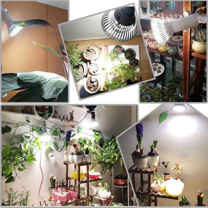 Actual product image Milyn GROW-2018013-CN (LED)