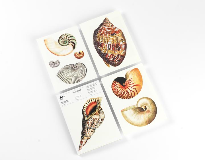 Actual product image Roojen:Seashells (A5, Lined, Soft cover)