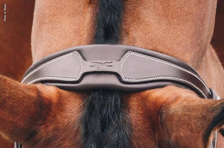 Produktbild Schockemöhle Sports Schockemöhle Kopfstück Select Reitsport