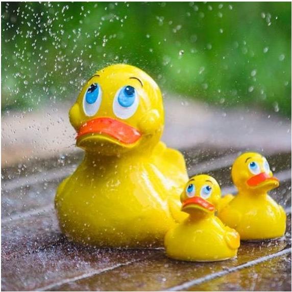 Actual product image Lanco Classic