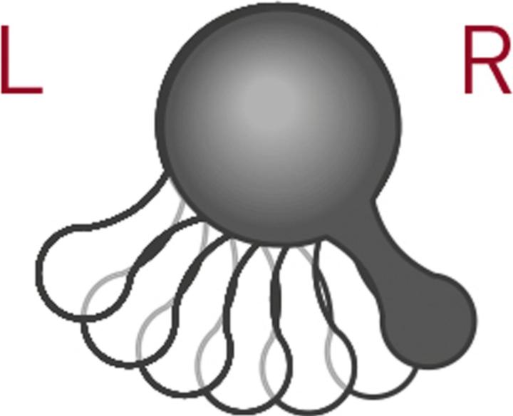 Produktbild Kraftwerk Clickkraft 4 in 1 (12 mm, 14 mm, 16 mm, 10  mm, 17 mm, 11 mm, 15 mm, 13 mm)