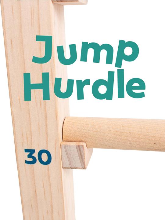 Actual product image BS Jump Hürde (2000 g)