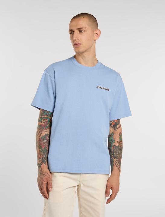 Produktbild Dickies Thornville Ss Tee (S)