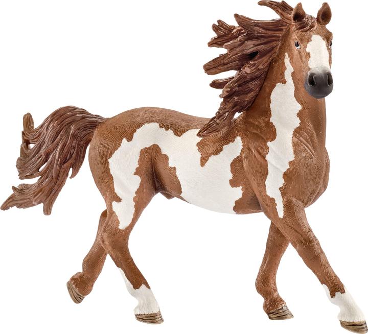 Produktbild Schleich Pinto-Hengst