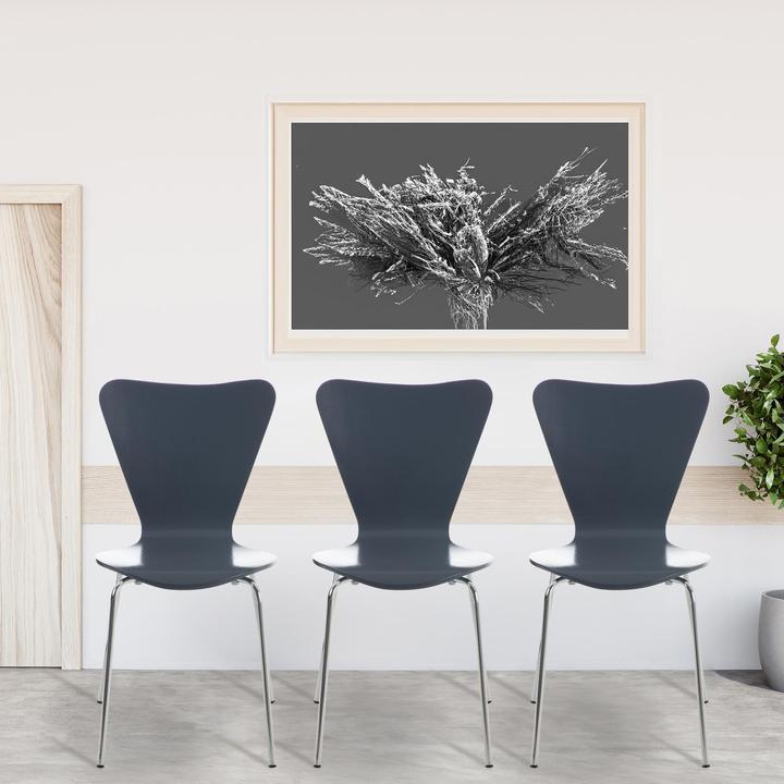 Image du produit CLP Calisto