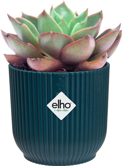 Produktbild Elho Blumenschale (11 x 10.50 cm)