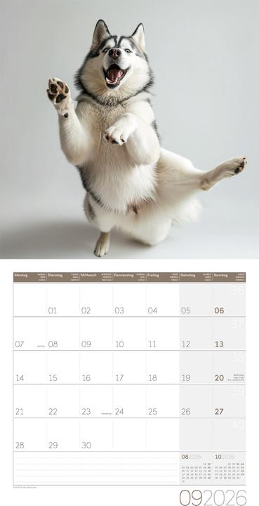 Produktbild Dancing Animals Kalender 2026
