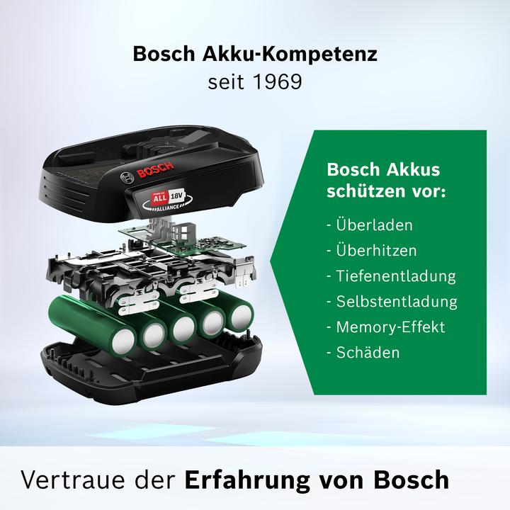 Actual product image Bosch Home & Garden Wechselakku (18 V)