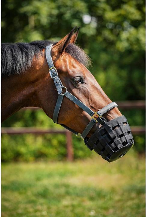 Produktbild Horse Guard Pferdeweide Maulkorb mit Halfter