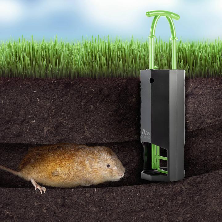 Actual product image Gardigo 700734INT Vole trap 4 pcs.