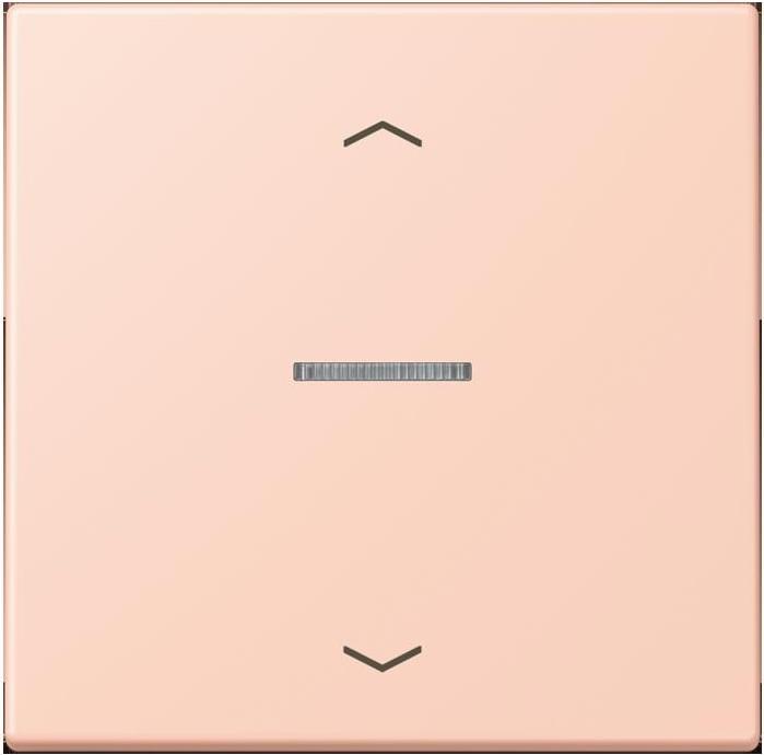 Actual product image JUNG BTLC17101P234 HOME push button