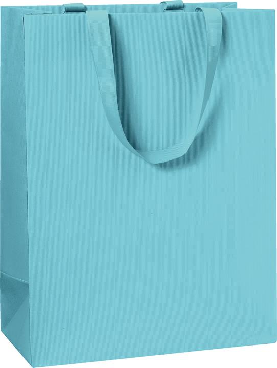 Produktbild Stewo Geschenktasche 23x13x30 One Colour blau hell (Geschenktüte, 1 x)