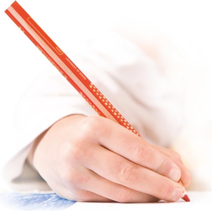 Actual product image Staedtler Crayon Noris jumbo 10+2 (Multicoloured, 12 x)