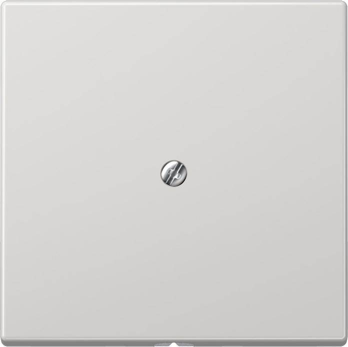 Image du produit JUNG Insert sortie de câble LS lgr glz fixation par vis LS990ALG