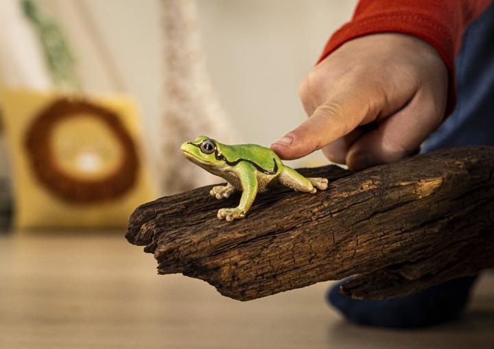 Image du produit Schleich Rainette européenne