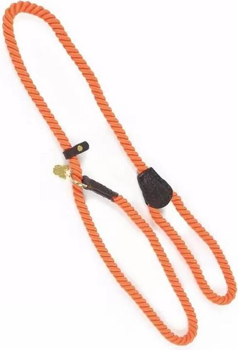 Actual product image Digby & Fox Rope Leather Dog Slip Lead (One size, Dog, Dog sport)