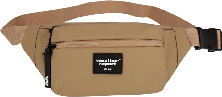 Produktbild Weather Report Bronze PU