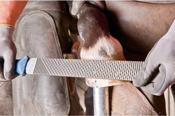 Produktbild Pferd 13180351 Hufhobel Länge 350mm 1St. (350 mm)