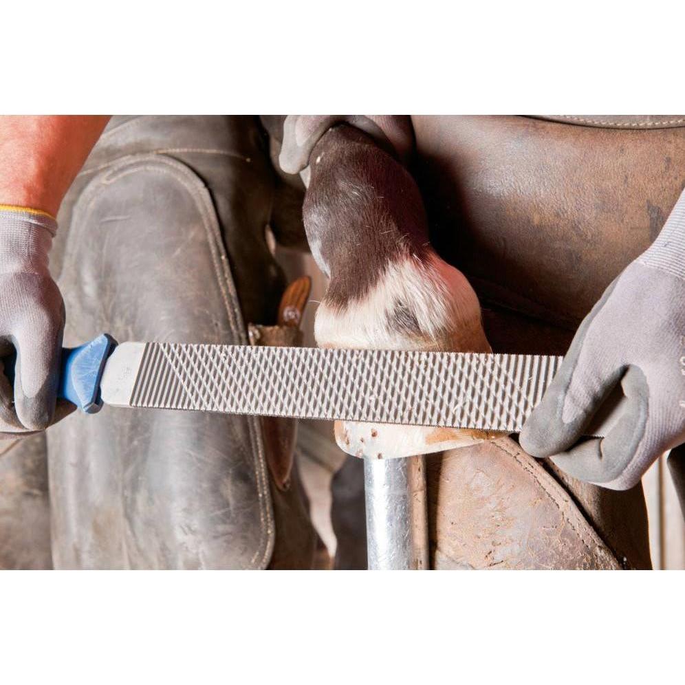 Thumbnail - Pferd, Raspel + Feile, 13180351 Hufhobel Länge 350mm 1St. (350 mm)