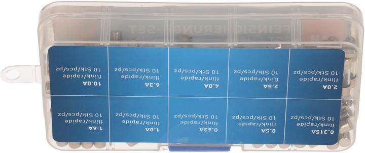 Produktbild Max Hauri Feinsicherungs-Set 10x10 Stk. (10 A)