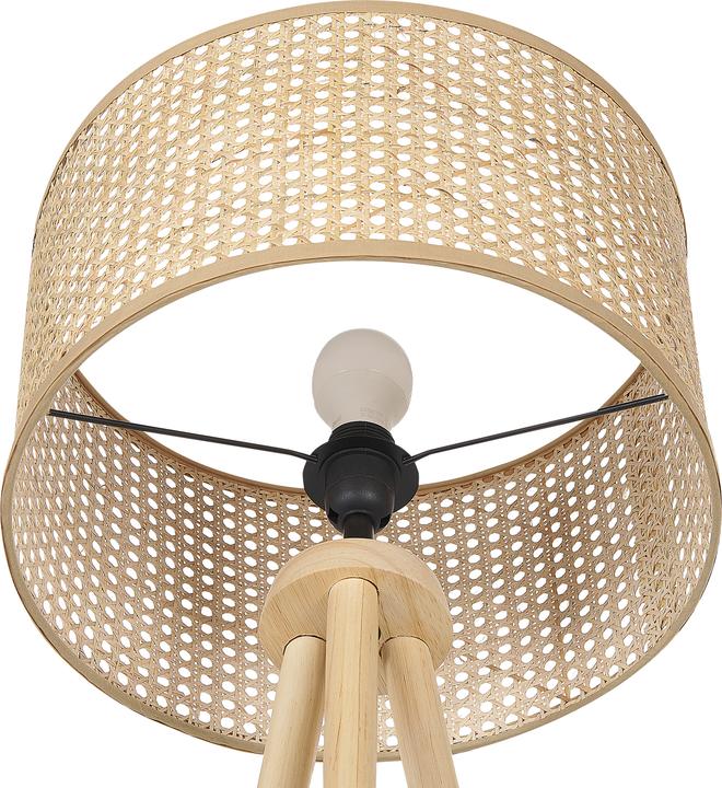 Actual product image Beliani Penton (E27)