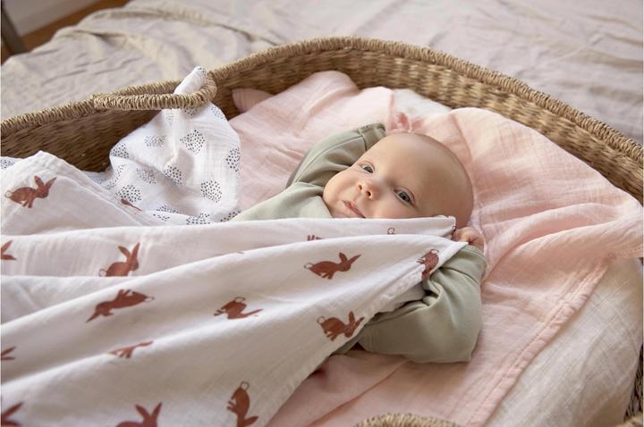 Immagine prodotto Lässig Panni di mussola (60 cm, 60 cm)