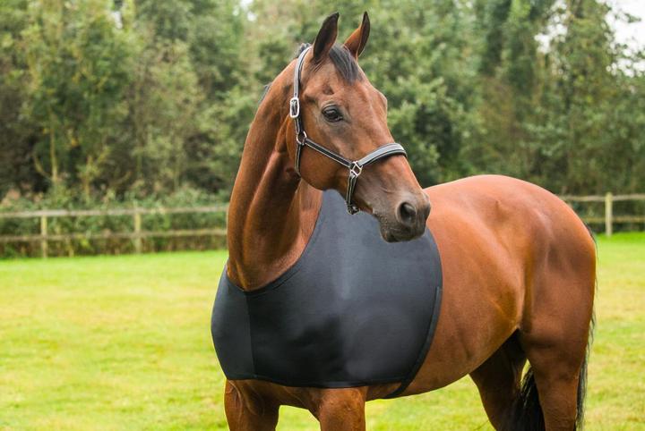 Image du produit Horka Protection d'épaules