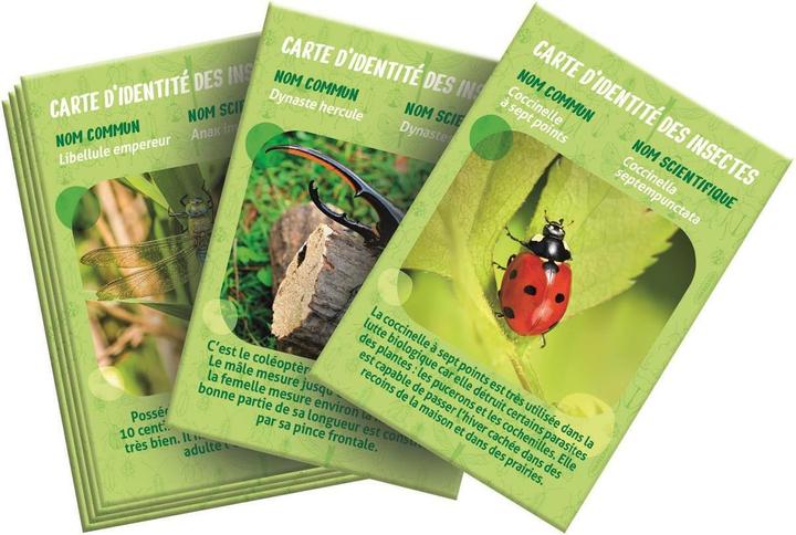 Produktbild Clementoni La Maison des Insectes