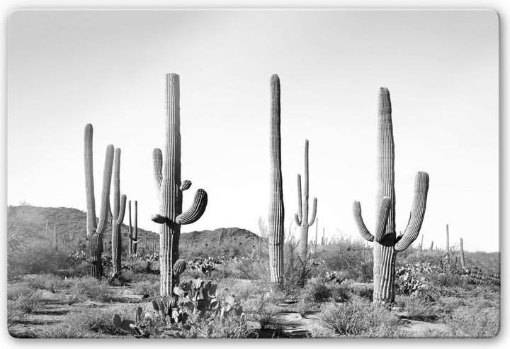 Image du produit Trenddeko Cactus dans le désert (60 x 40 cm)