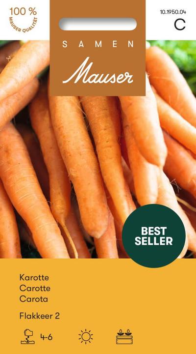 Samen Mauser Karotte Flakkeer 2 (Gemüsesamen)