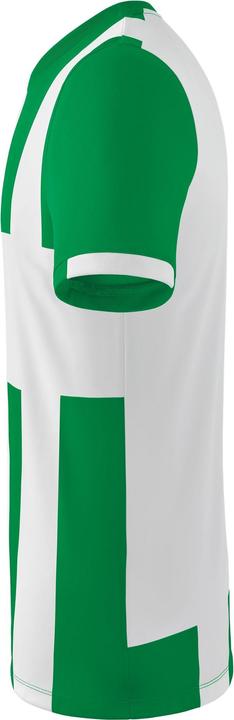Image du produit Erima Maillot Siena 3.0 (L)