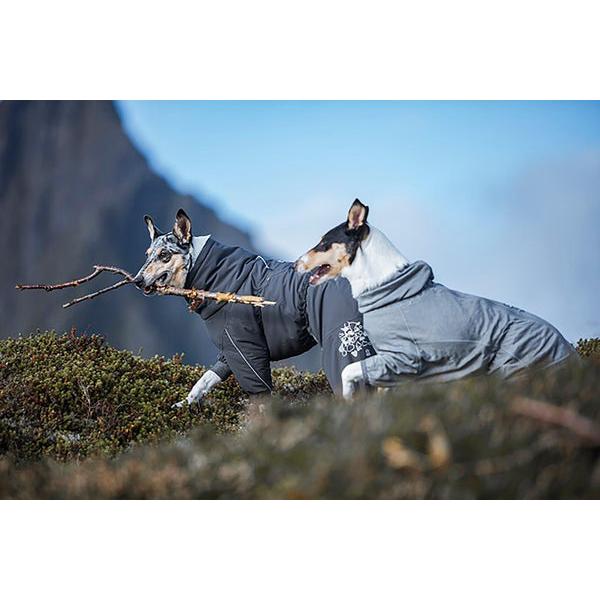 Thumbnail - Hurtta Extreme (60, Hundemantel), Hundebekleidung