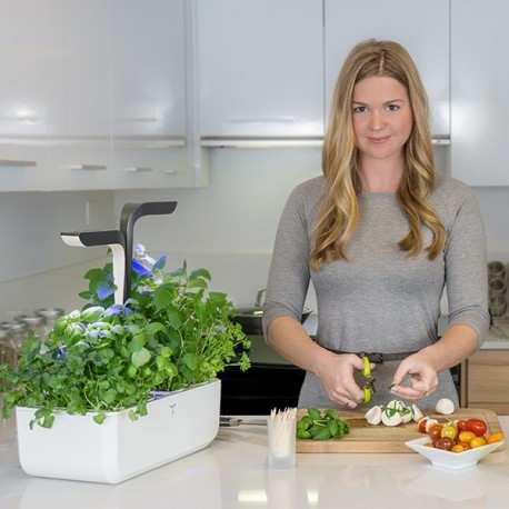 Image du produit Véritable VERITABLE CONNECT Indoor Garden gold incl. 4 packs (33 cm)