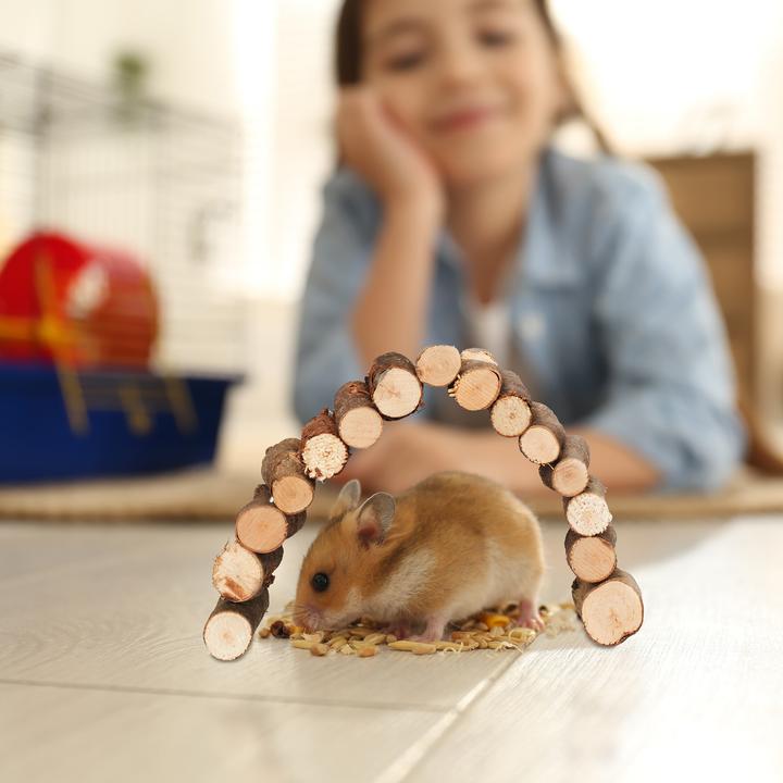 Actual product image Relaxdays 3x rodent bridge