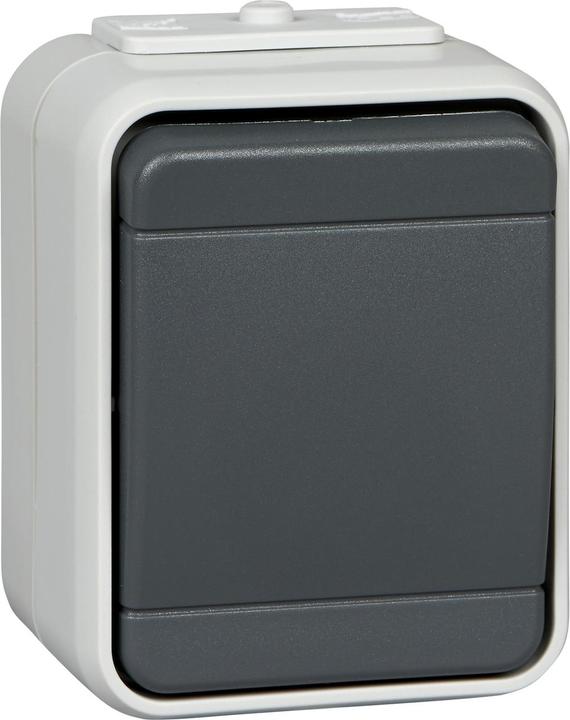 Actual product image ELSO Universal switch 10A AquaTop screw terminal light/basalt grey