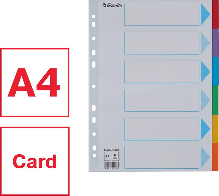 Actual product image Esselte Register cardboard