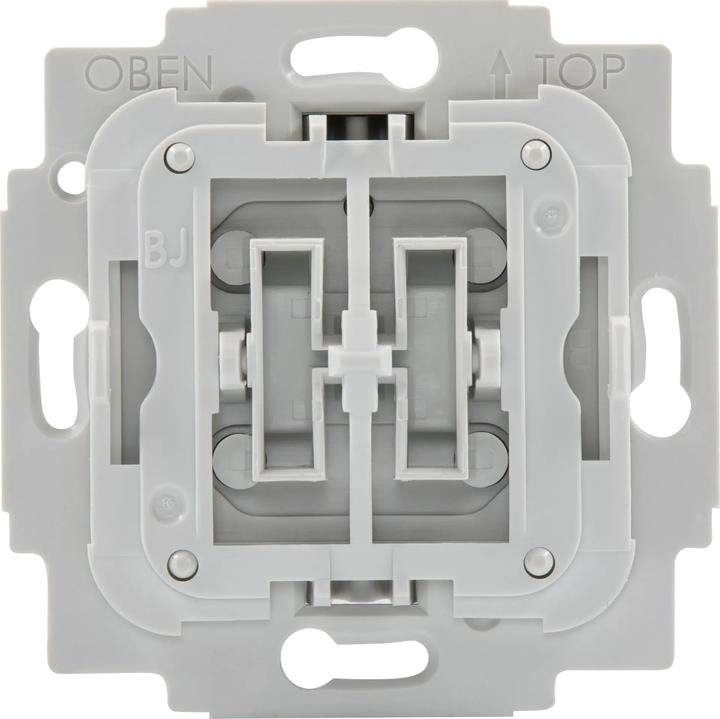 Actual product image TechniSat Flush-mounted insert series switch
